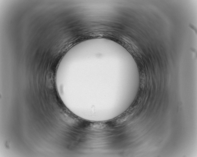 X0000096400414200801241008
