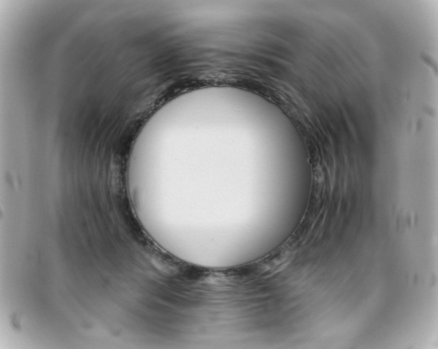 X0000096400416200801241008