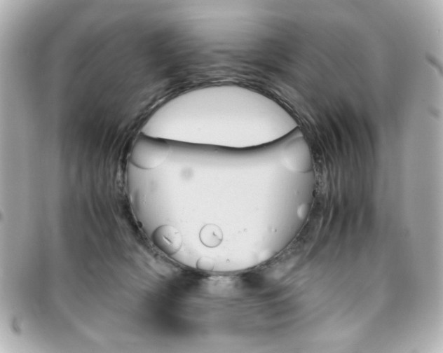 X0000096400418200801241008