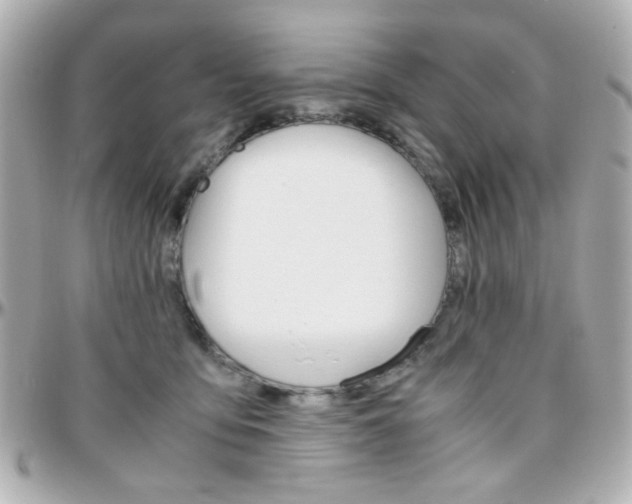 X0000096400419200801241008