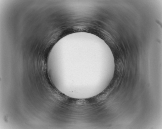 X0000096400420200801241008