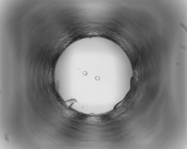 X0000096400422200801241008