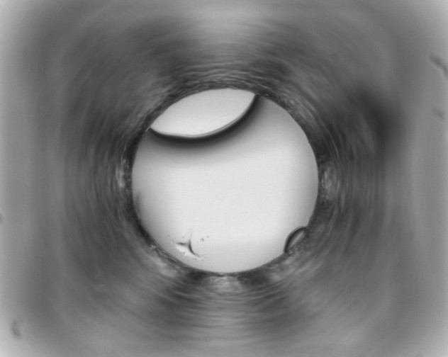 X0000096400424200801241008