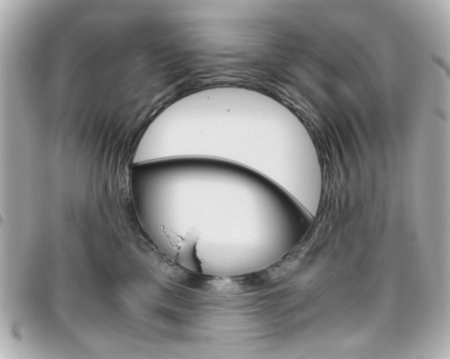 X0000096400425200801241008