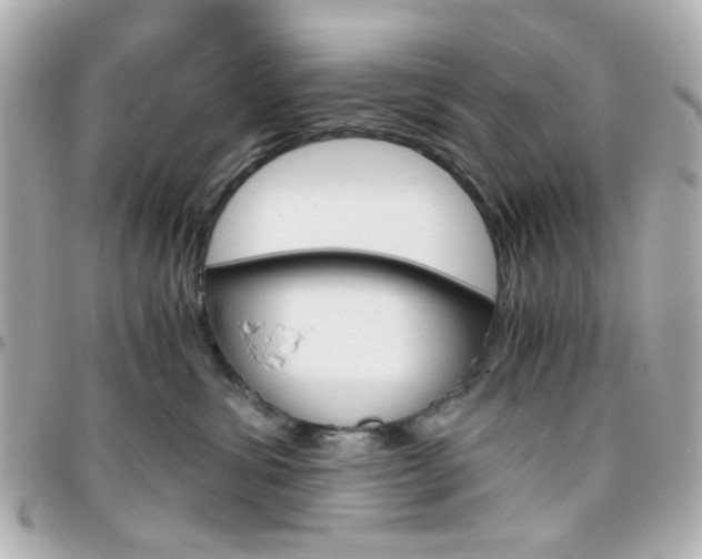 X0000096400428200801241008