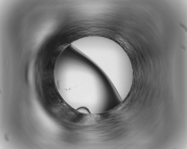 X0000096400429200801241008