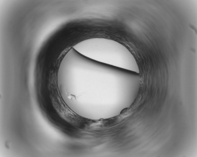 X0000096400430200801241008
