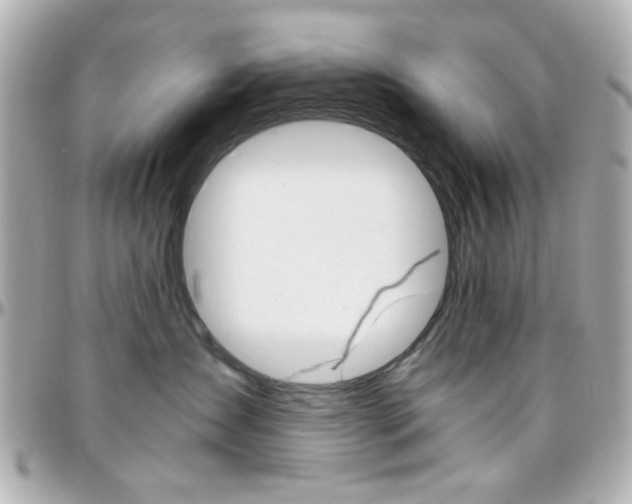 X0000096400431200801241008