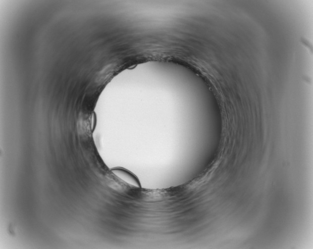 X0000096400432200801241008