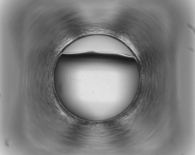 X0000096400433200801241007