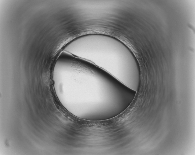 X0000096400434200801241007