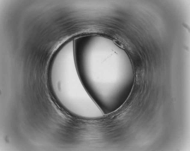 X0000096400436200801241007