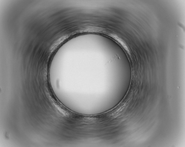 X0000096400437200801241007