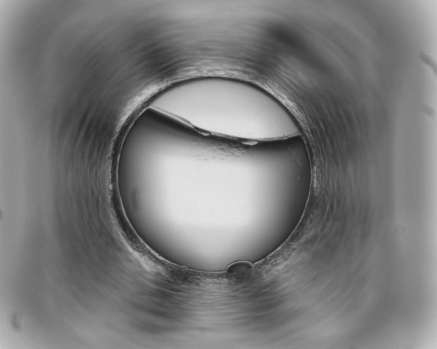 X0000096400438200801241007