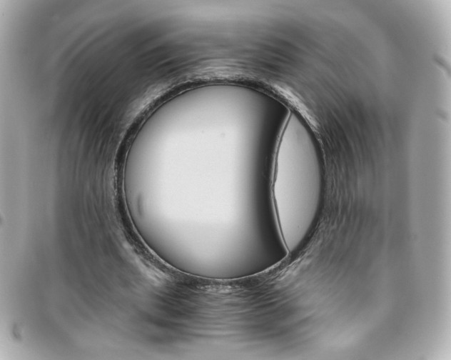 X0000096400439200801241007