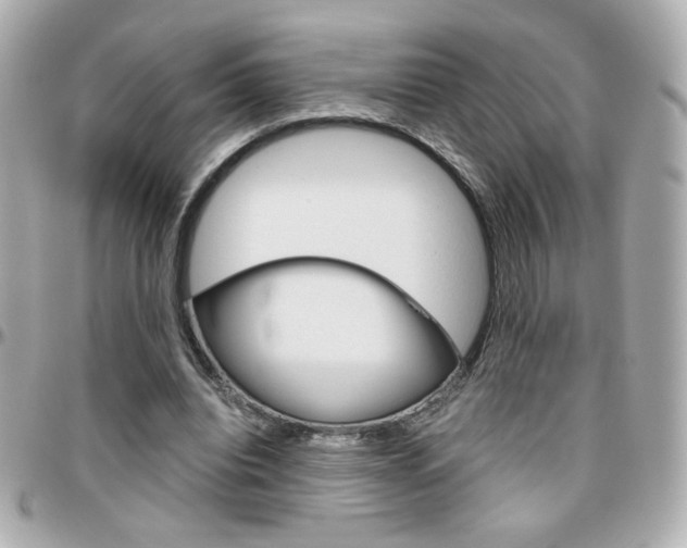 X0000096400440200801241007
