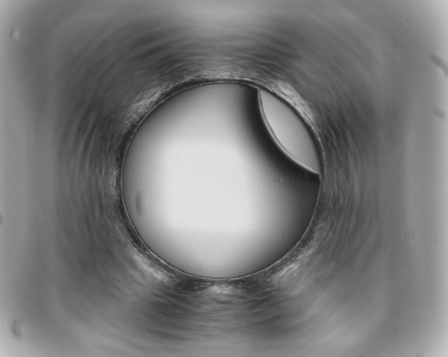 X0000096400441200801241007