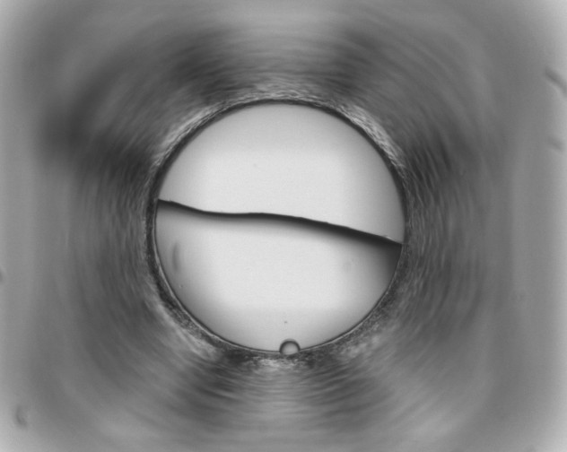 X0000096400442200801241007