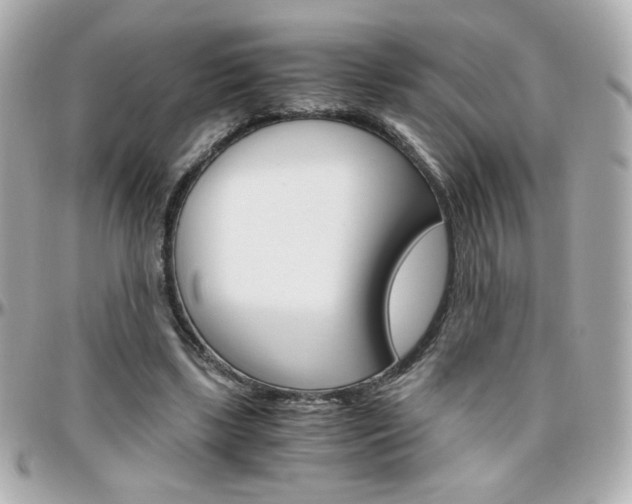 X0000096400443200801241007