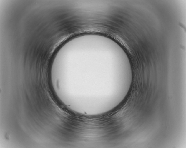 X0000096400444200801241007