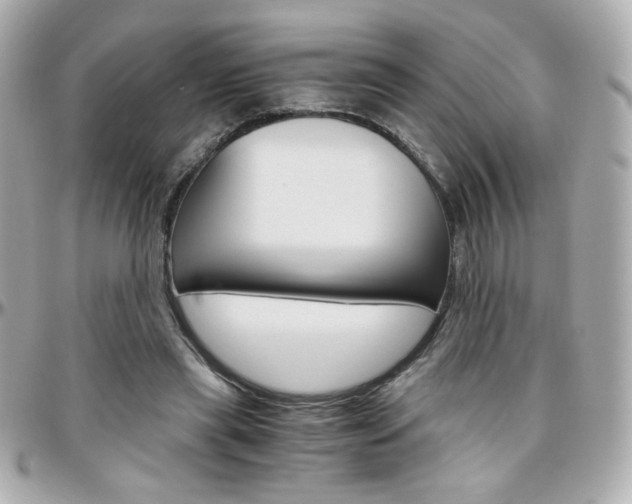 X0000096400445200801241007