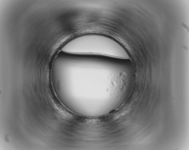 X0000096400446200801241007