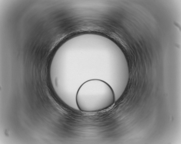 X0000096400448200801241007
