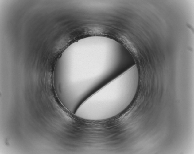 X0000096400449200801241007