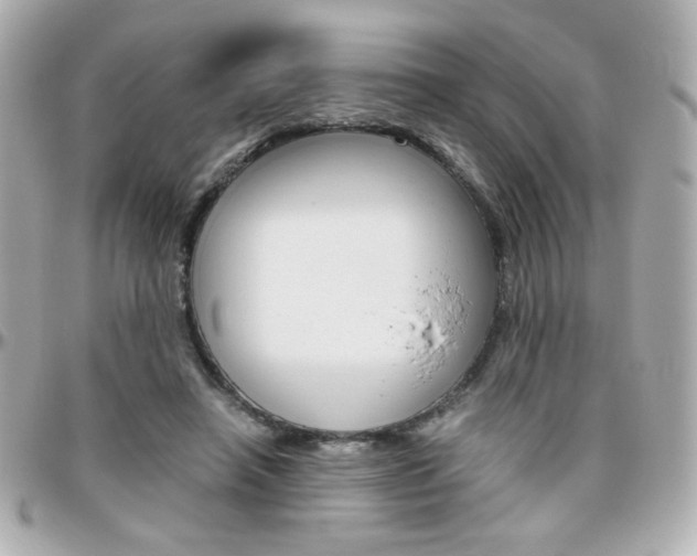 X0000096400450200801241007