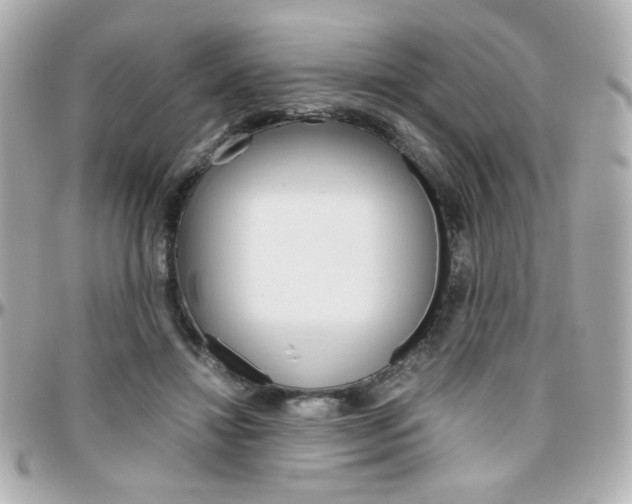 X0000096400452200801241007