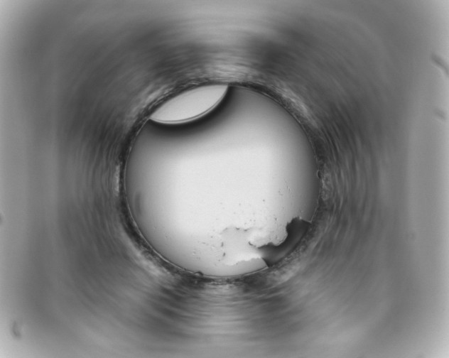 X0000096400454200801241007