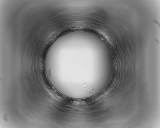 X0000096400455200801241007