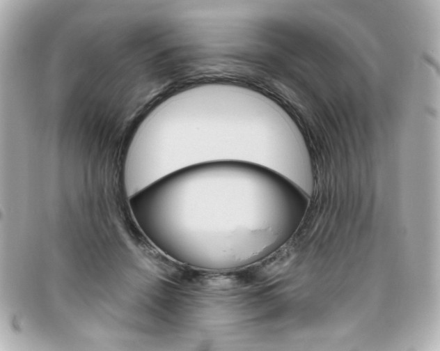 X0000096400456200801241007