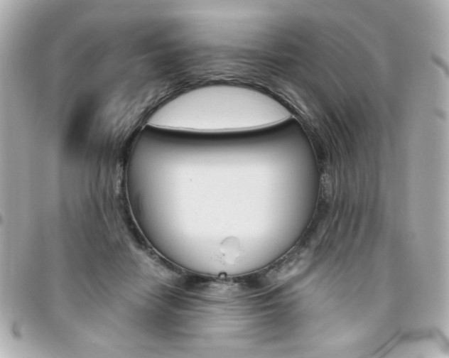 X0000096400458200801241007