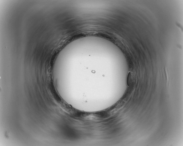 X0000096400460200801241007