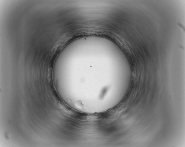 X0000096400462200801241007