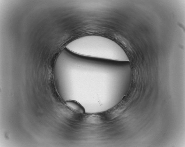 X0000096400463200801241007