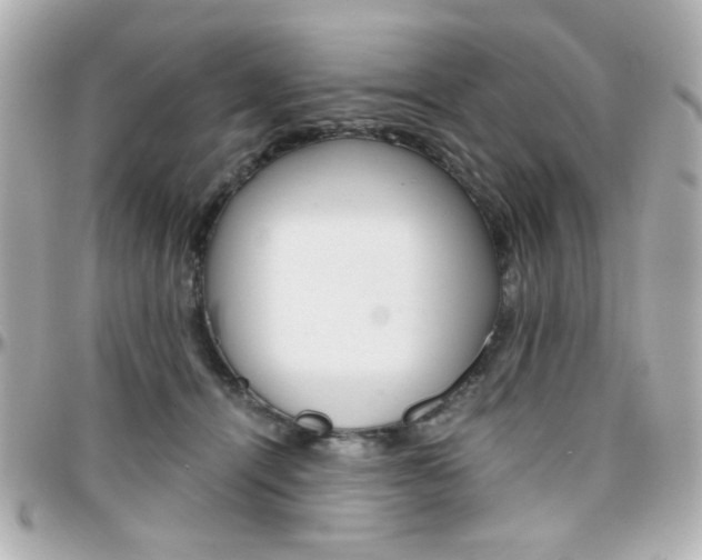 X0000096400464200801241007