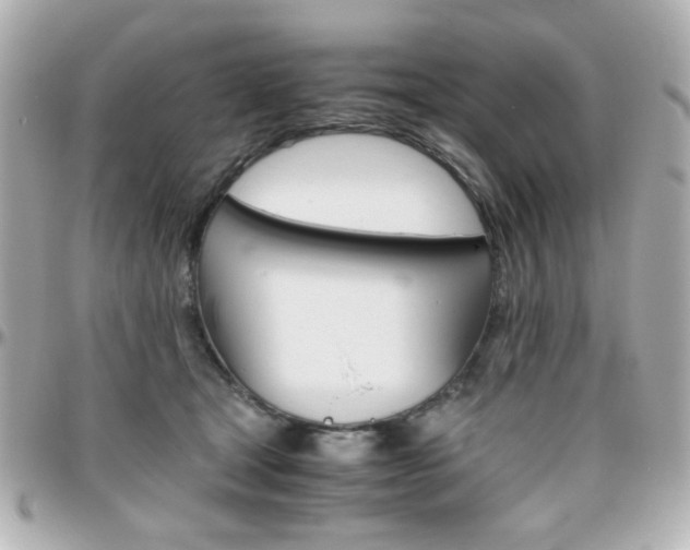 X0000096400465200801241007