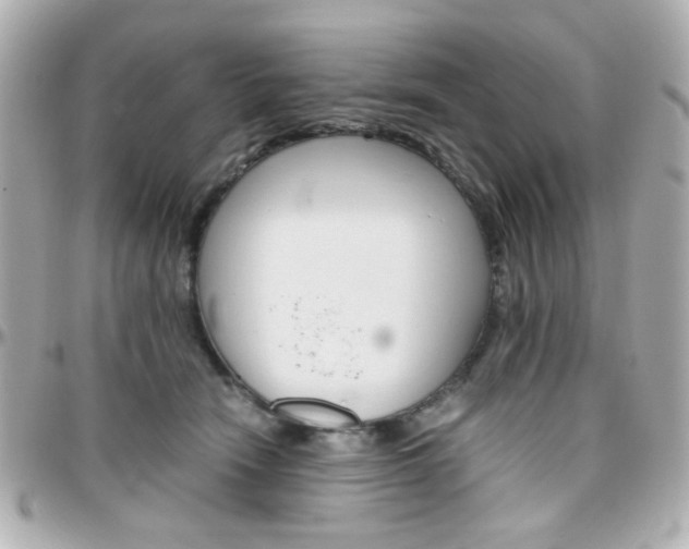 X0000096400466200801241007