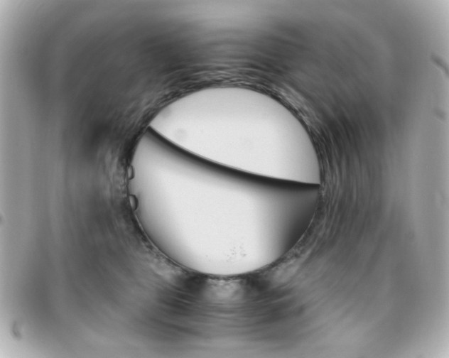 X0000096400469200801241007