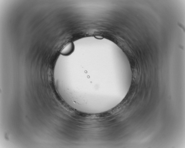 X0000096400470200801241007