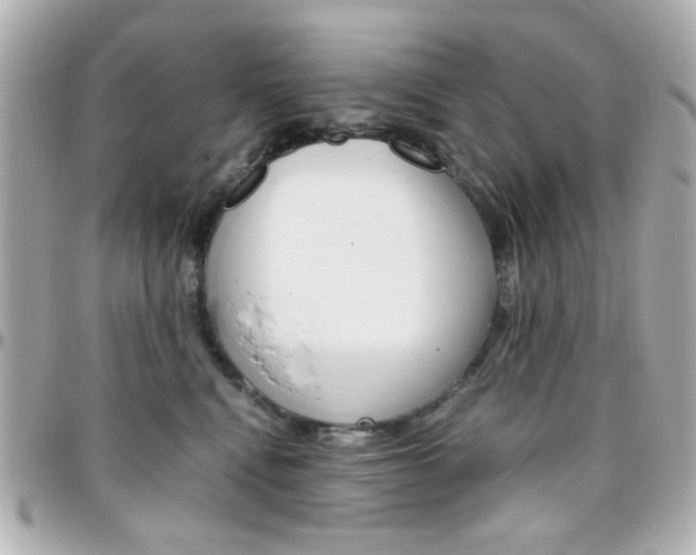 X0000096400472200801241007