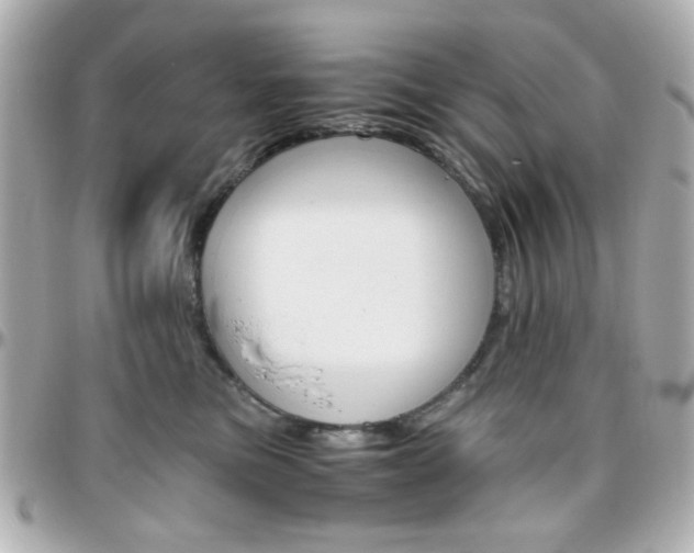 X0000096400473200801241007