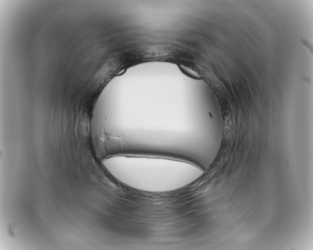 X0000096400474200801241007