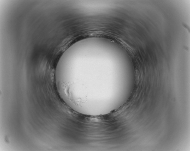 X0000096400475200801241007
