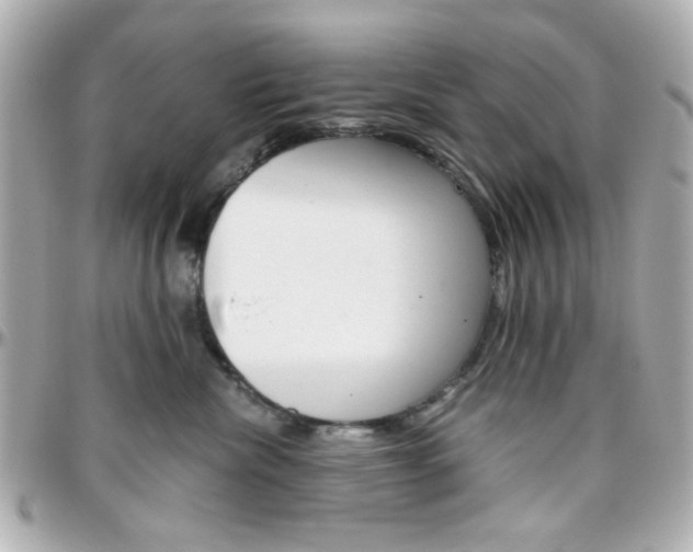 X0000096400476200801241007