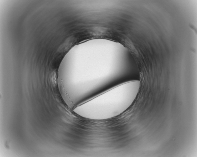 X0000096400479200801241007