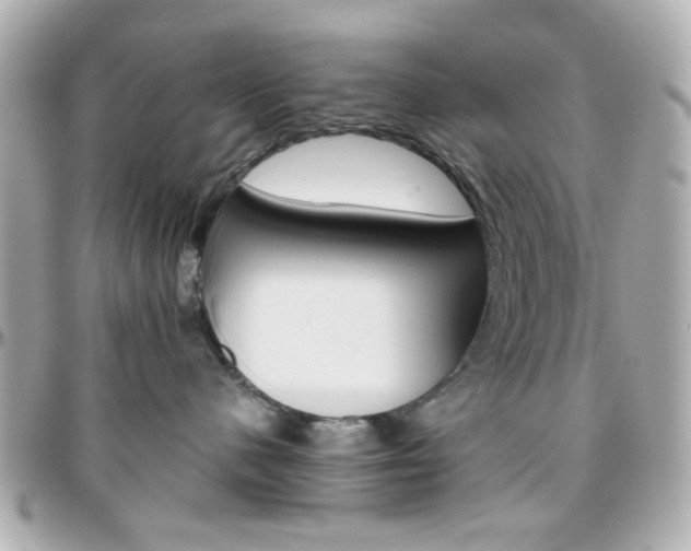 X0000096400480200801241007