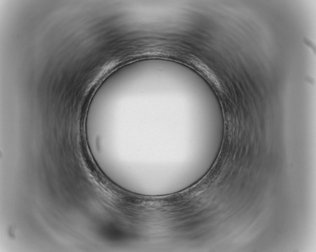 X0000096400482200801241007